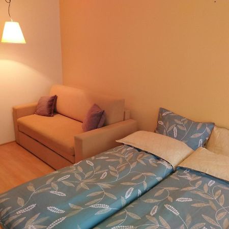 Studio Villa Park 207 Borovec Kültér fotó
