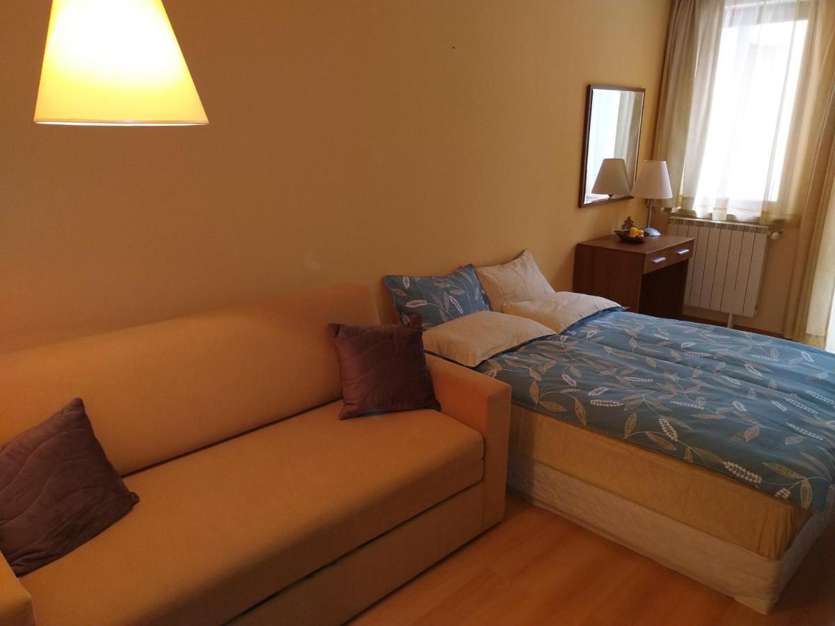 Studio Villa Park 207 Borovec Kültér fotó