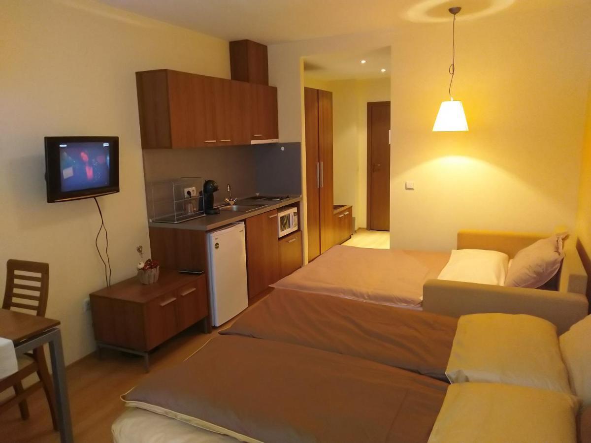 Studio Villa Park 207 Borovec Kültér fotó