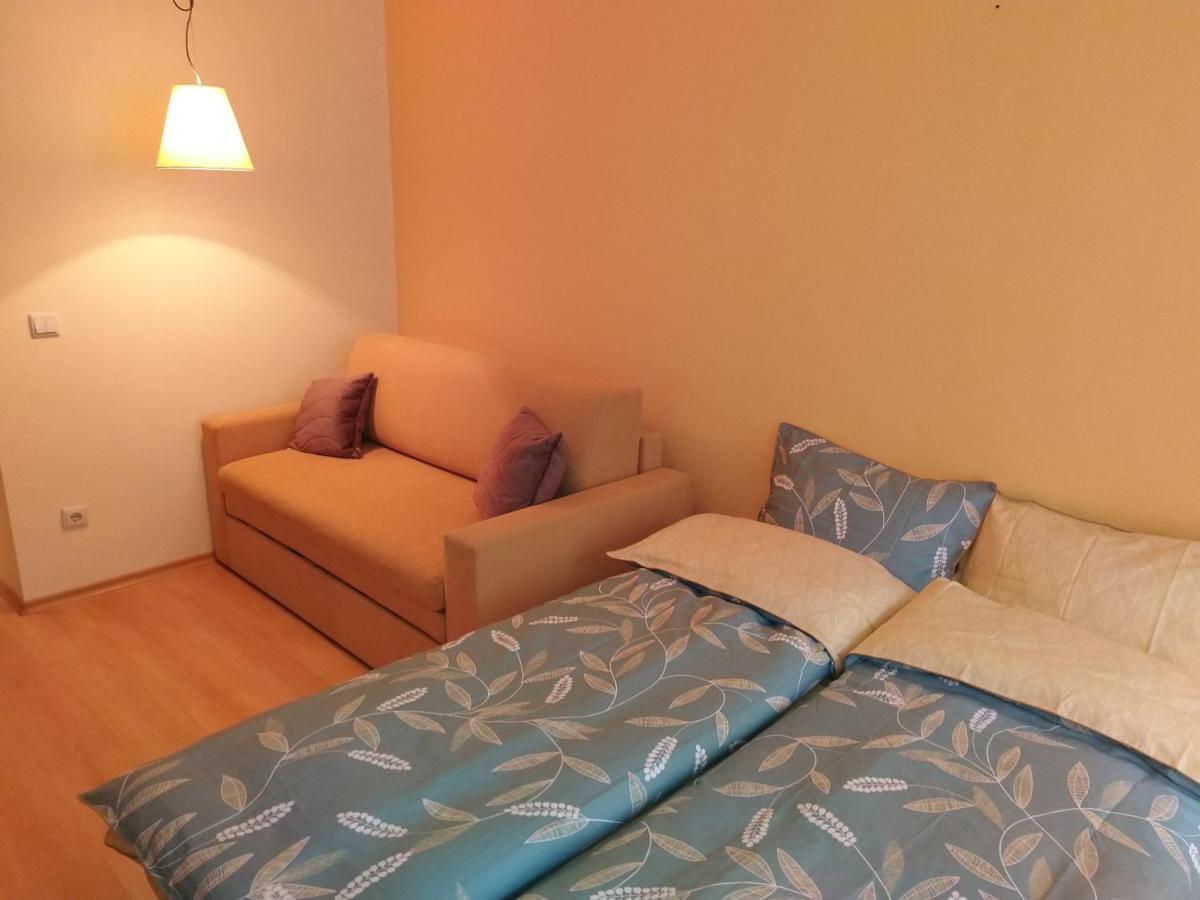 Studio Villa Park 207 Borovec Kültér fotó