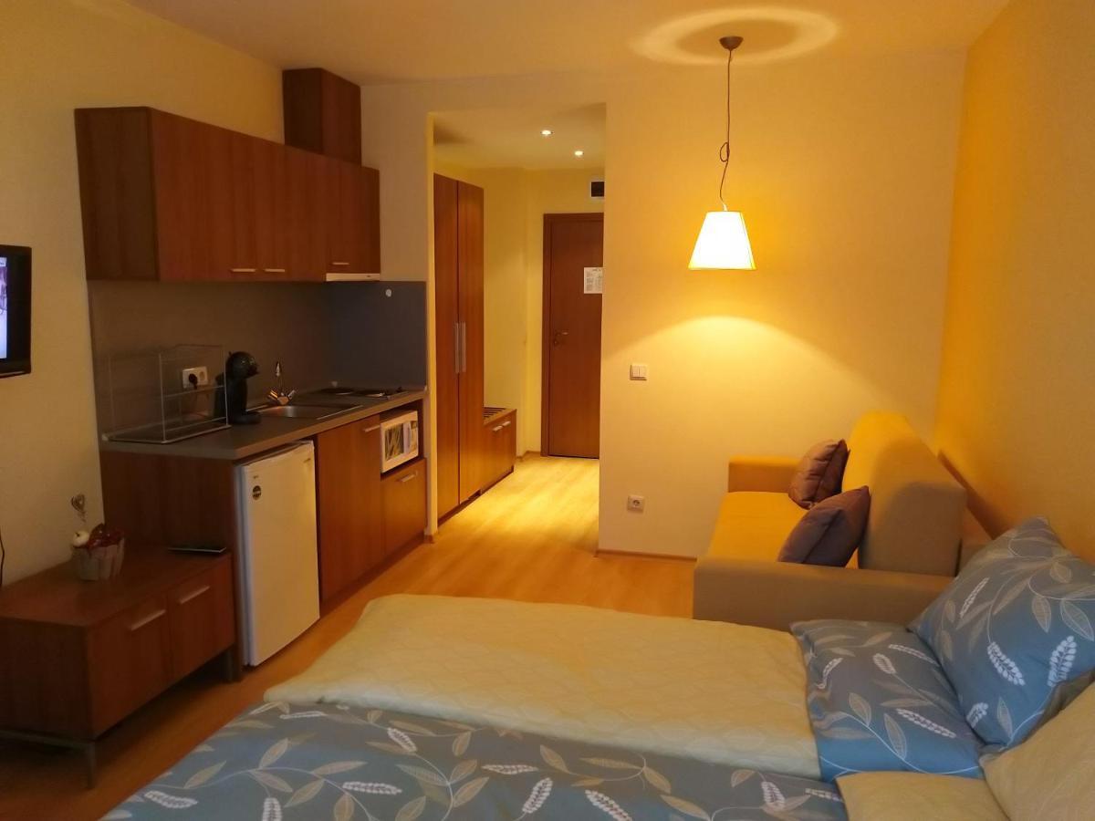 Studio Villa Park 207 Borovec Kültér fotó