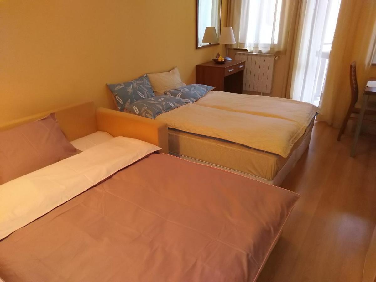 Studio Villa Park 207 Borovec Kültér fotó